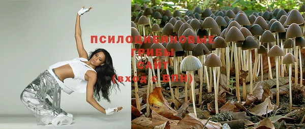 гашишное масло Дмитровск