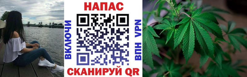 хочу Альметьевск МАРИХУАНА SATIVA & INDICA